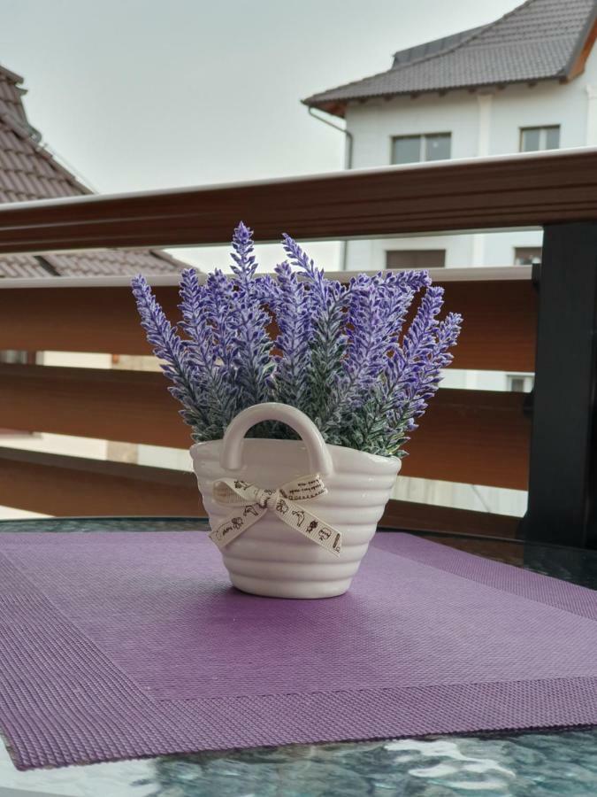 Aparthotel Zlatibor Hills Lara Extérieur photo